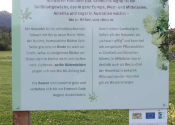 Mit Malerischem Bergblick Im * Bischofsmais