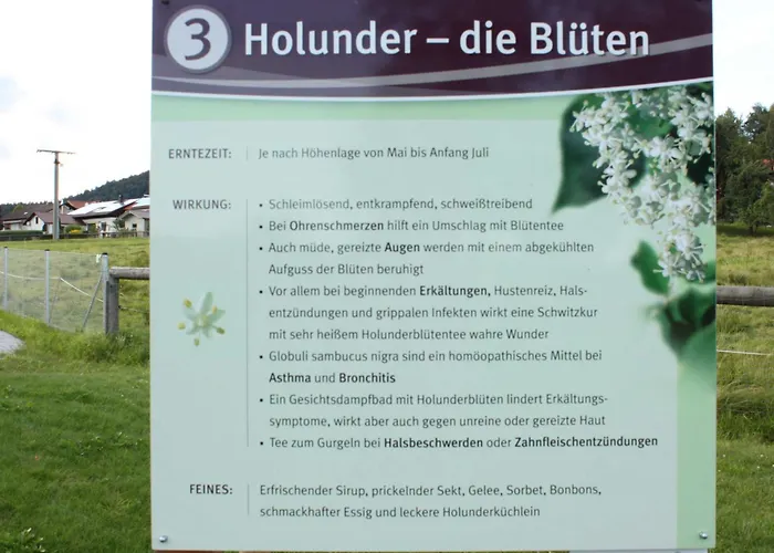 Mit Malerischem Bergblick Im *