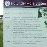 Mit Malerischem Bergblick Im *