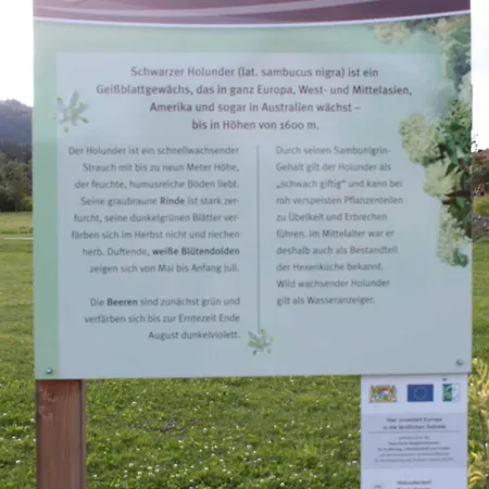 Mit Malerischem Bergblick Im * Bischofsmais