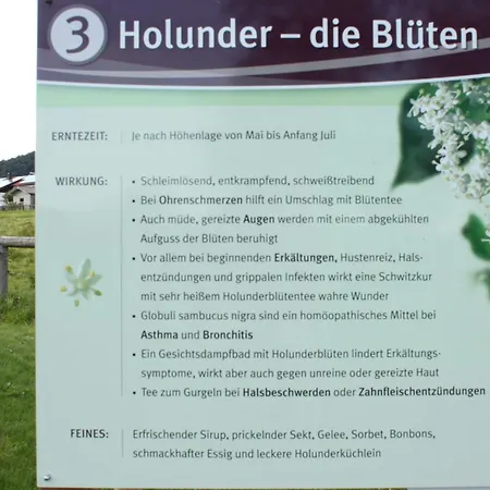 Mit Malerischem Bergblick Im *